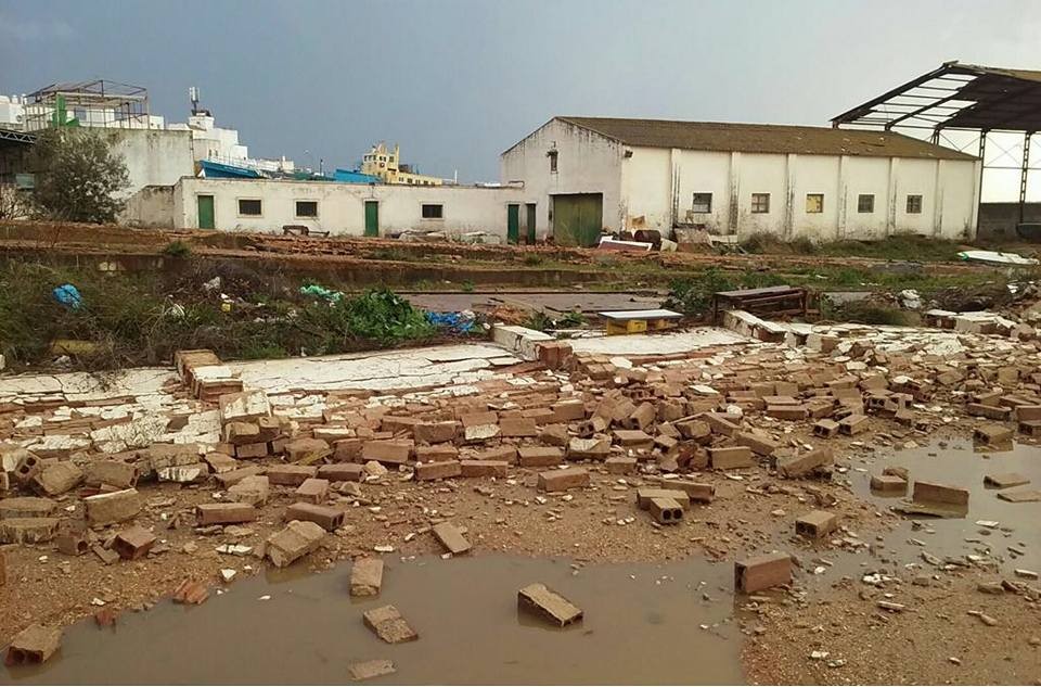 NOTA DE PRENSA ECOLOGISTAS EN ACCION