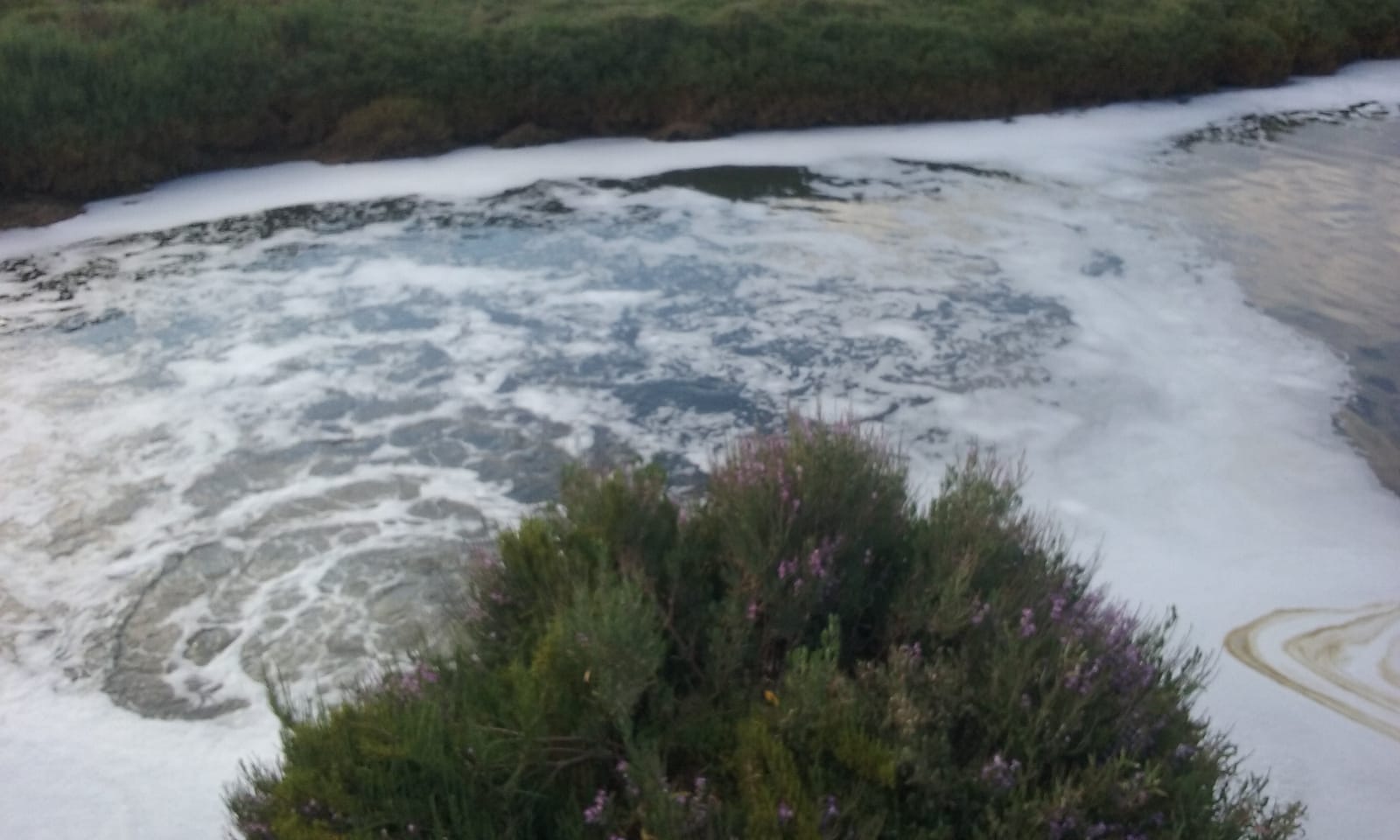Ecologistas en Acción hace pública las “Banderas Negras” de la Costa Onubense