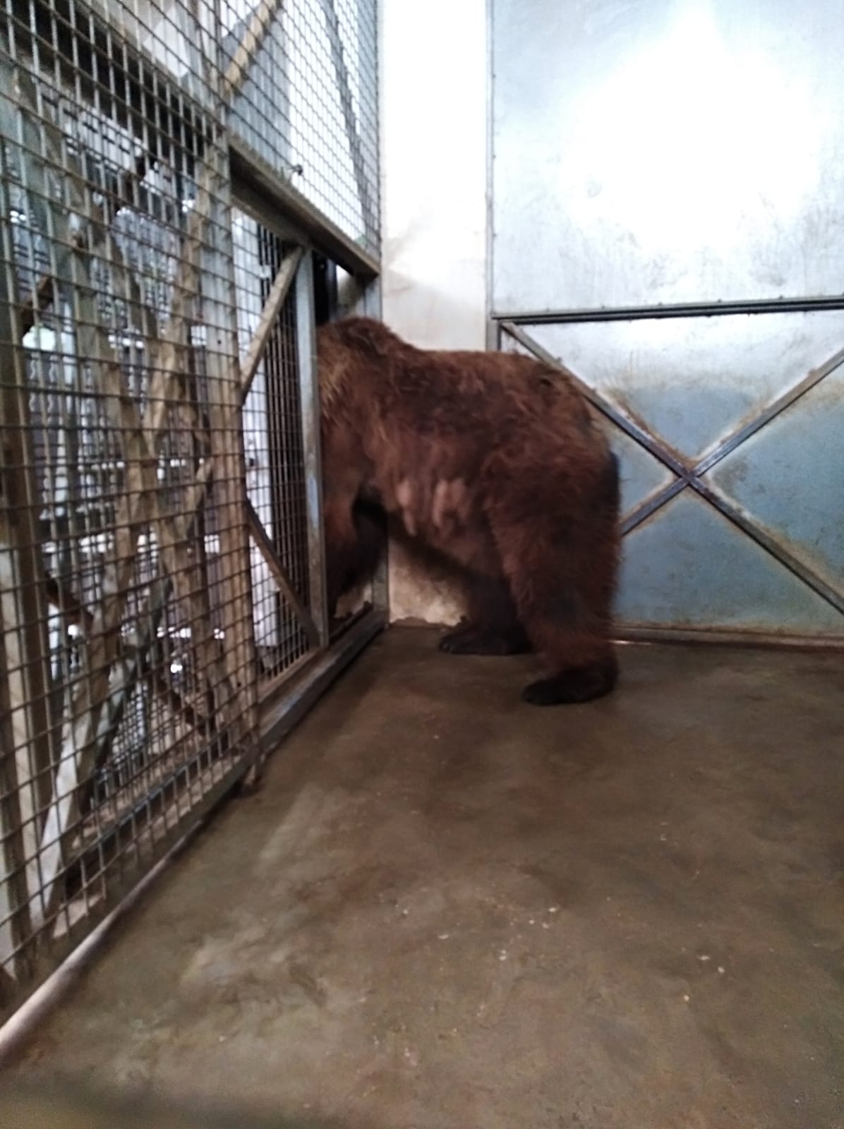 EL ZOOLÓGICO DE AYAMONTE A PUNTO DE SU CIERRE DEFINITIVO