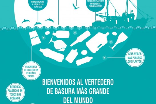 La Asamblea Local de Cruz Roja en Ayamonte inicia una campaña de sensibilización sobre el estado de nuestros océanos.