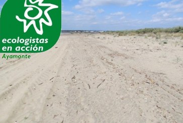 Ecologistas contra el cierre con espigones de la playa de Isla Canela
