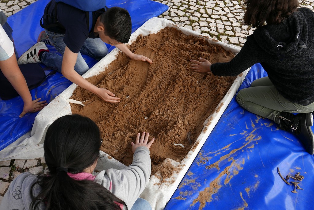 LA CASA GRANDE DE AYAMONTE ACOGE LA II FERIA DE LA CIENCIA