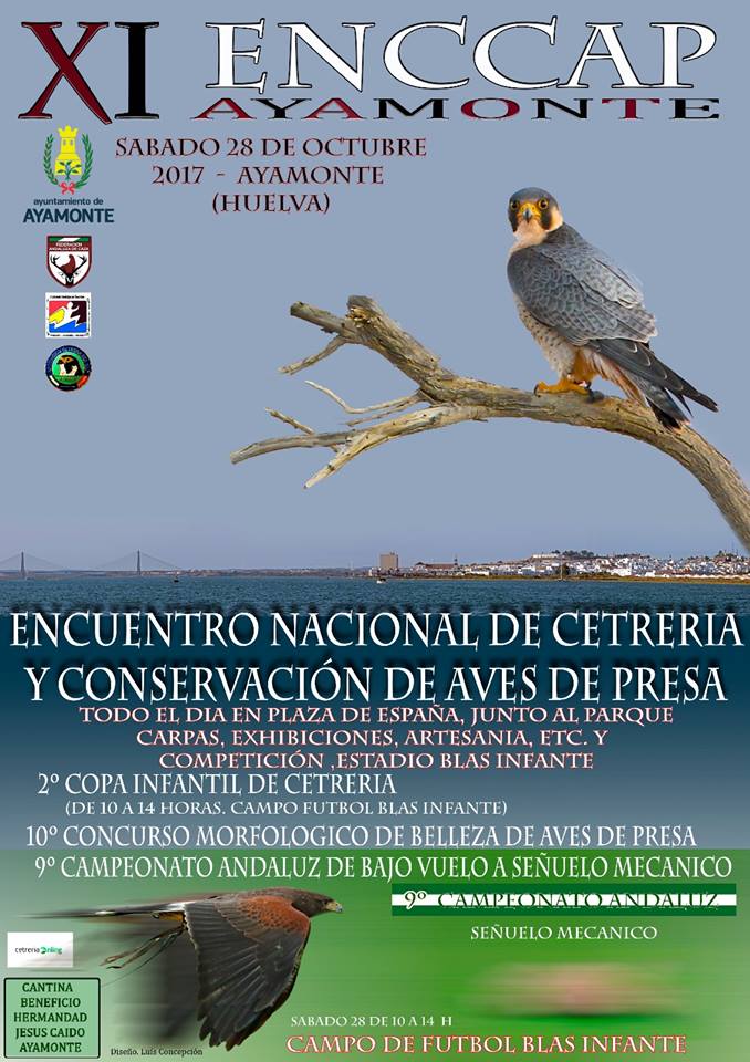 XI Encuentro Nacional de Cetrería y Conservación de Aves de Presa