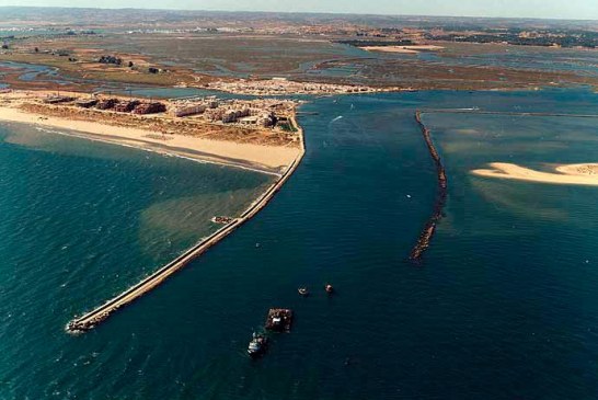 Posicionamiento de Ecologistas en Acción ante las exigencias de inversiones públicas en espigones sobre las playas de Huelva