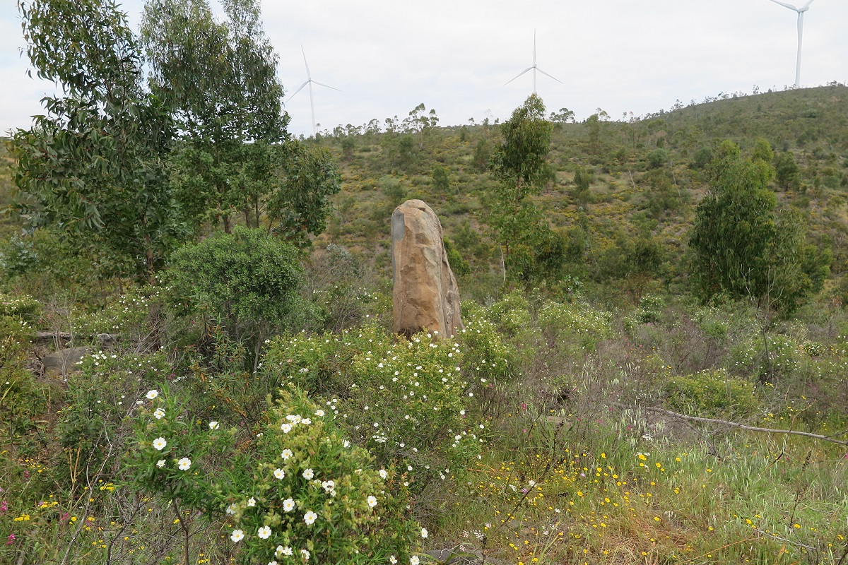 EL AYUNTAMIENTO APOSTARÁ POR EL DESARROLLO DEL YACIMIENTO ARQUEOLÓGICO HALLADO EN EL MUNICIPIO COSTERO