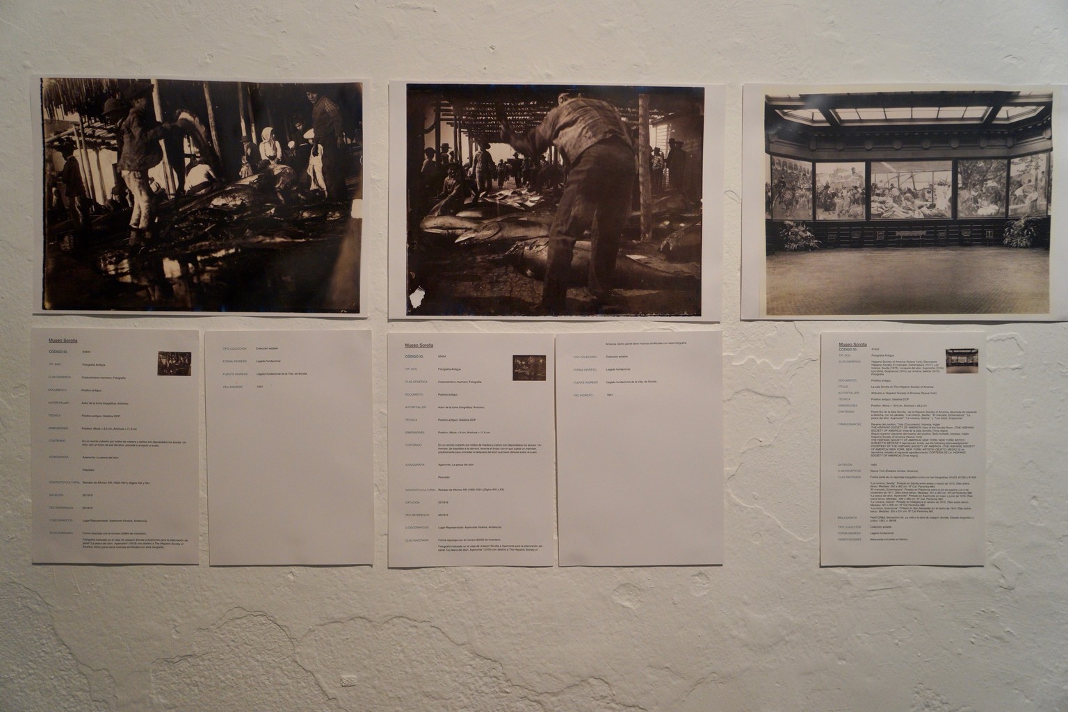 LA CASA GRANDE AYAMONTE ACOGE UNA EXPOSICIÓN CONMEMORATIVA DEL CENTENARIO DE LA OBRA “LA PESCA DEL ATÚN” Y UNA MUESTRA FILATÉLICA CON FONDOS MUNICIPALES