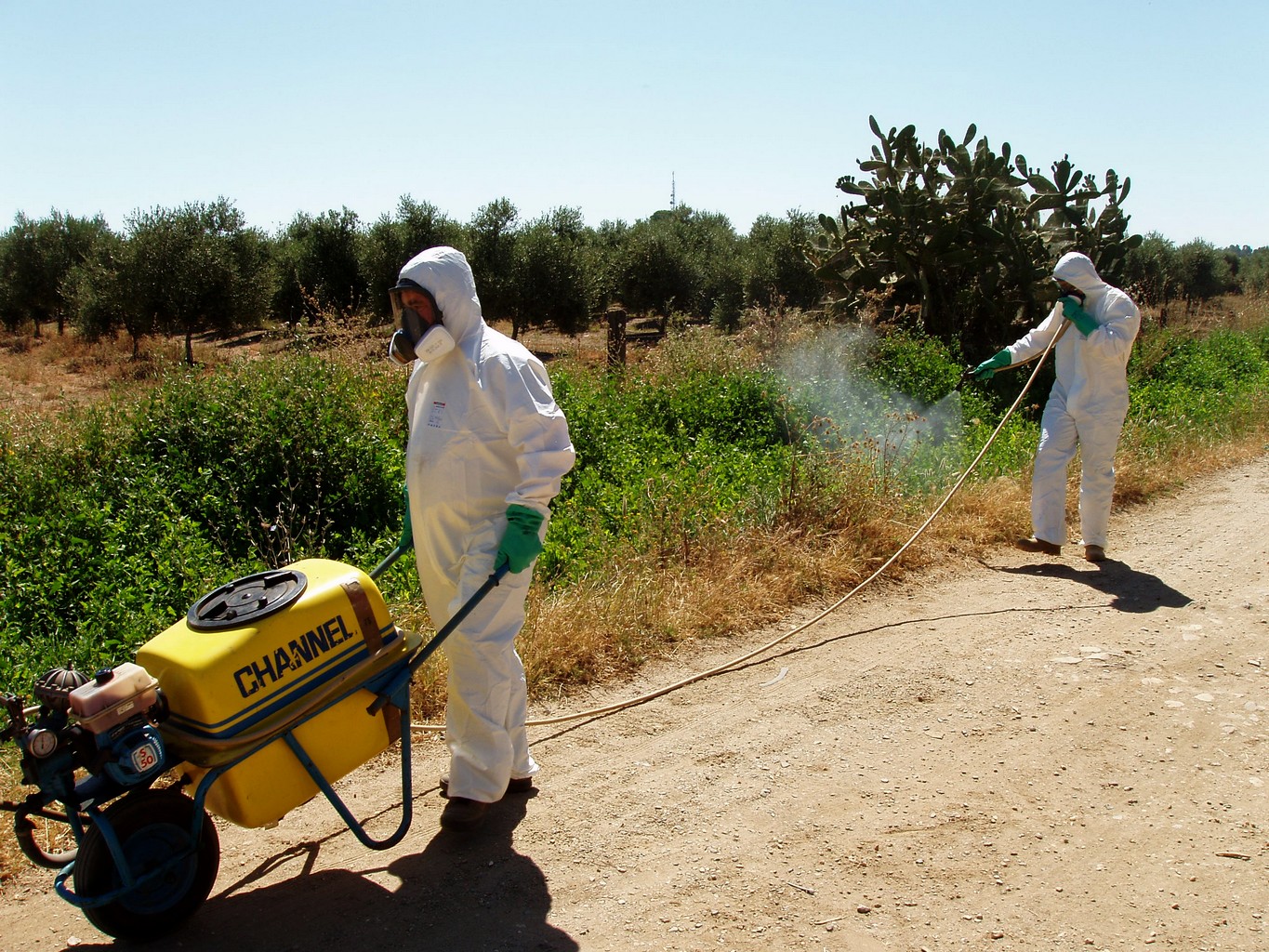 COMIENZA LA CAMPAÑA DE CONTROL DE MOSQUITOS EN AYAMONTE
