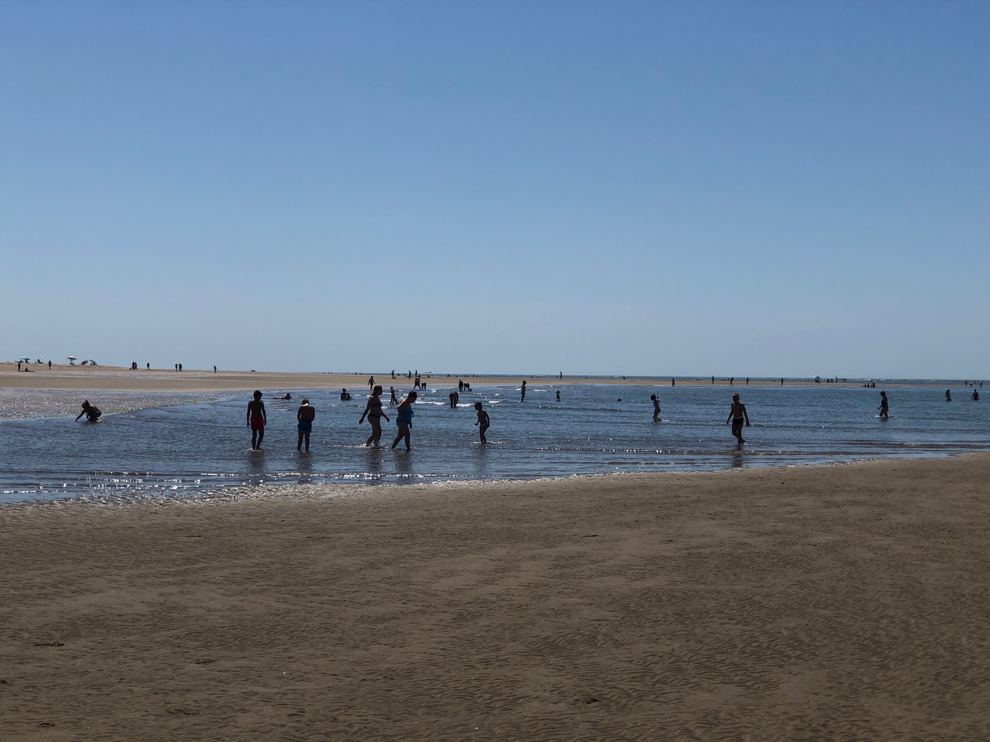 EL AYUNTAMIENTO DE AYAMONTE INSTARÁ A LAS ADMINISTRACIONES COMPETENTES A LUCHAR CONTRA EL MARISQUEO ILEGAL EN LAS PLAYAS DEL MUNICIPIO