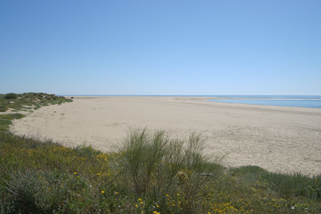 EL AYUNTAMIENTO DE AYAMONTE SACA LICITACIÓN LA MEJORA DE LAS INFRAESTRUCTURAS DE SUS PLAYAS POR 455.000 EUROS